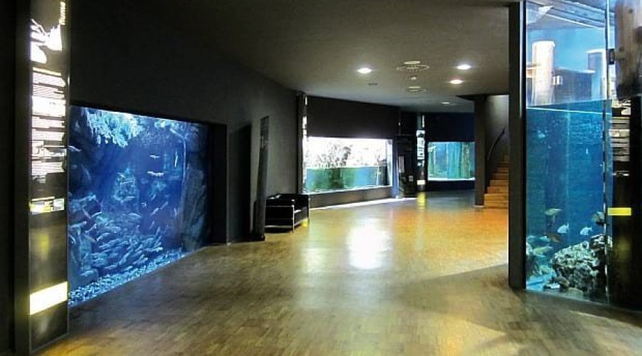 acquariocivico4.jpg